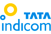 Tata Indicom Announces Special Packs For The World Cup Finals